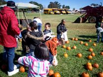 pumpkinpatch